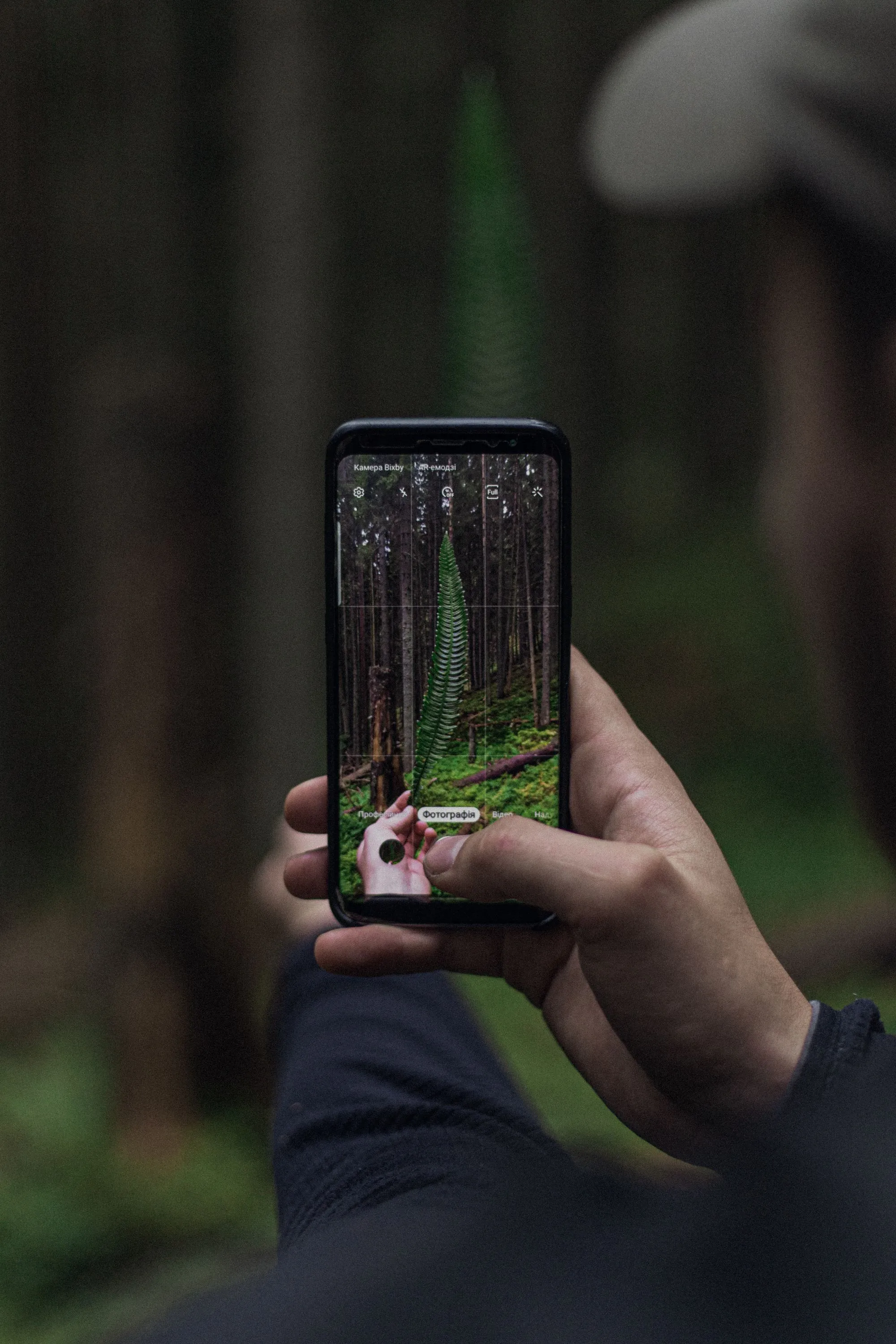 Telefon z otwartą aplikacją do rozpoznawania roślin nad zielonym liściem