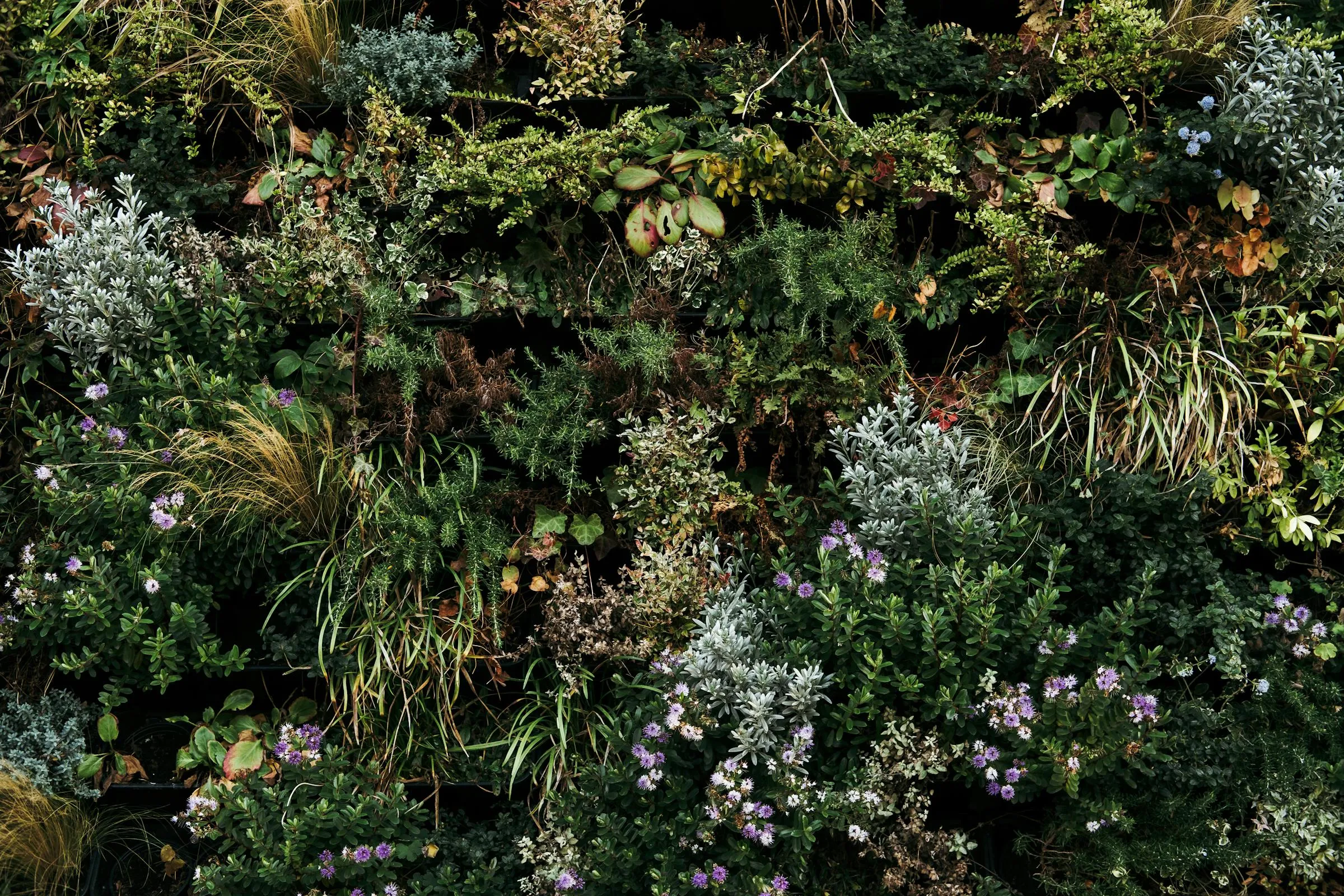 Polski ogród wiosną — grządki warzywne