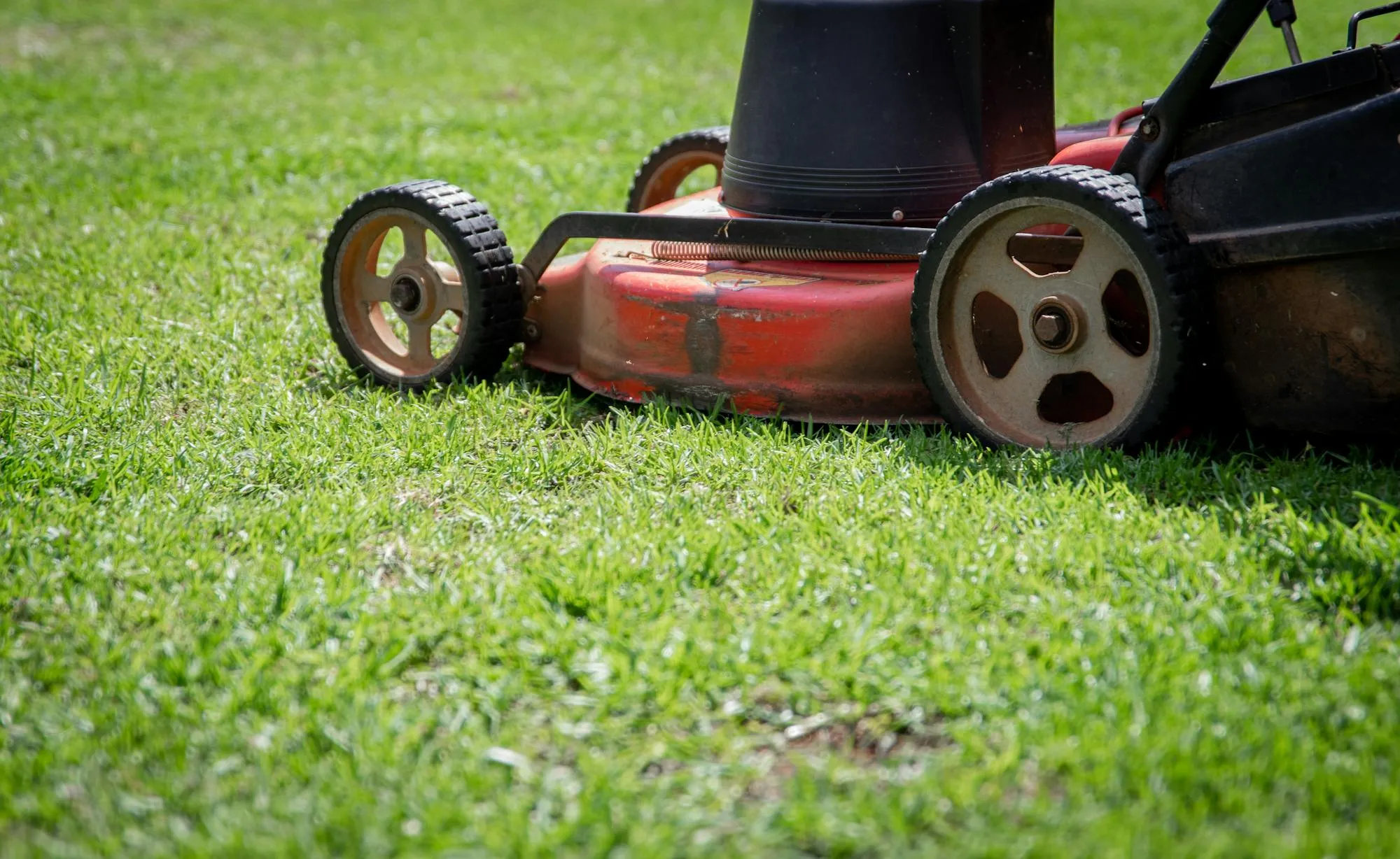Zbliżenie kół i obudowy elektrycznej kosiarki na trawie